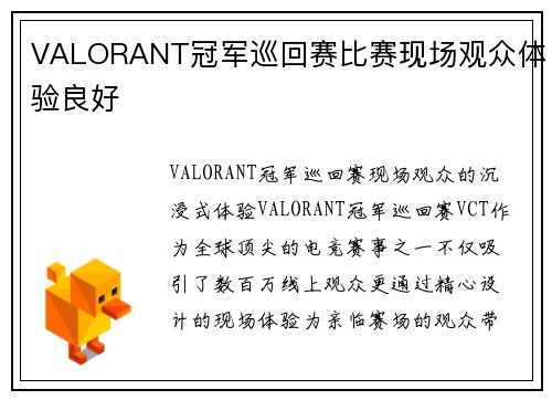 VALORANT冠军巡回赛比赛现场观众体验良好