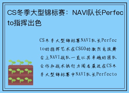 CS冬季大型锦标赛：NAVI队长Perfecto指挥出色